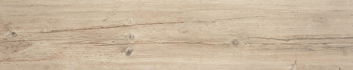 3015011-Espelta1.jpg
